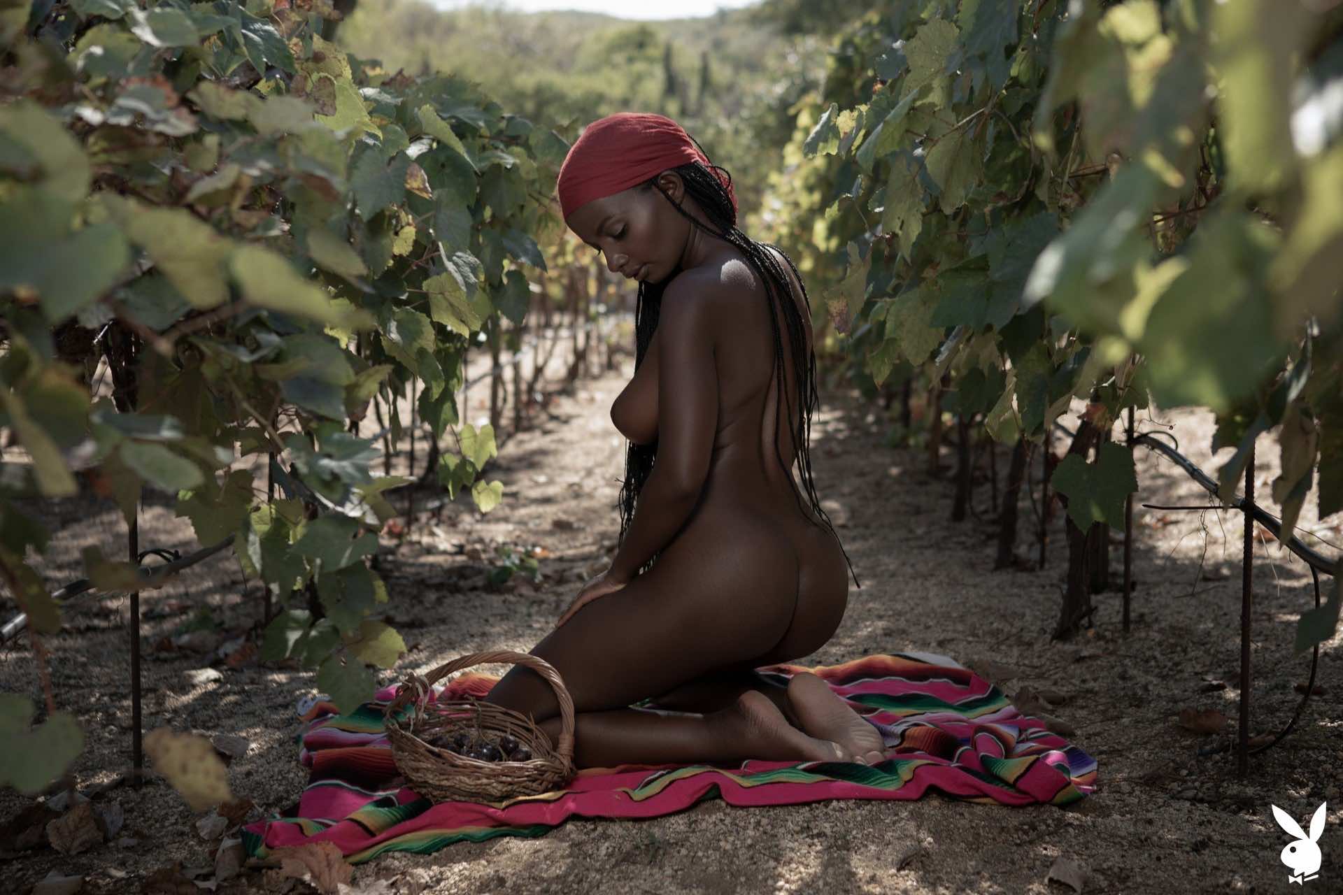 Shasta Wonder In Veni Vidi Vino - Picture 13